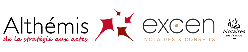 Logo Althemis et Excen